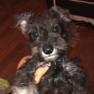 Meet your Posher, Unique